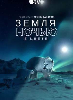 Земля ночью в цвете